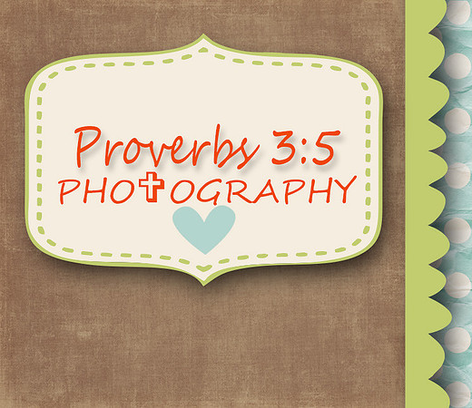 MarketingTimelineBrightDelight-Edited Timeline Test1-1
